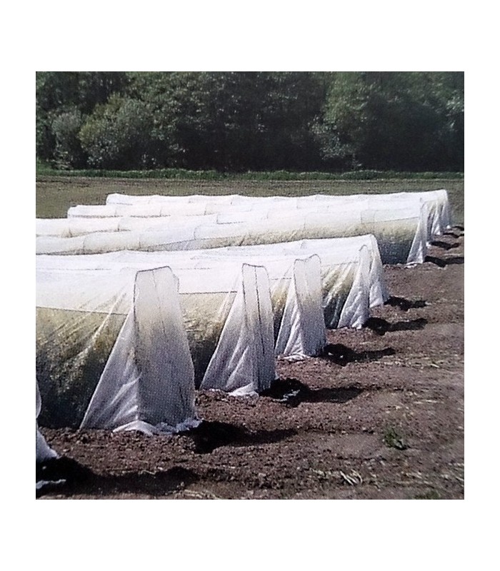 Natupol seeds koppert