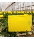 HORIVER 40x25 AMARILLA Trampa cromática adhesiva