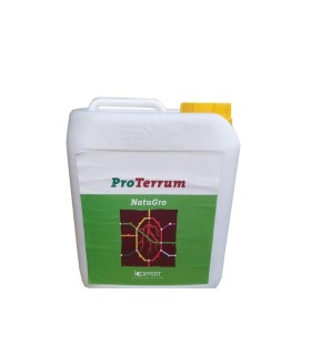 VIDI TERRUM 5L Koppert bioestimulante con aminoácidos