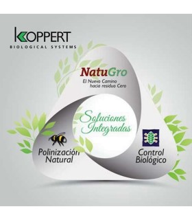 VIDI FORTUM 5L bioestimulante y biofungicida Koppert