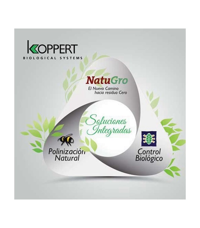 VIDI FORTUM 5L bioestimulante y biofungicida Koppert