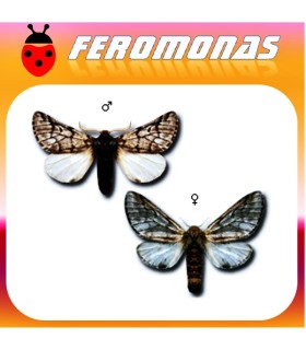 Feromona procesionaria 200 dias