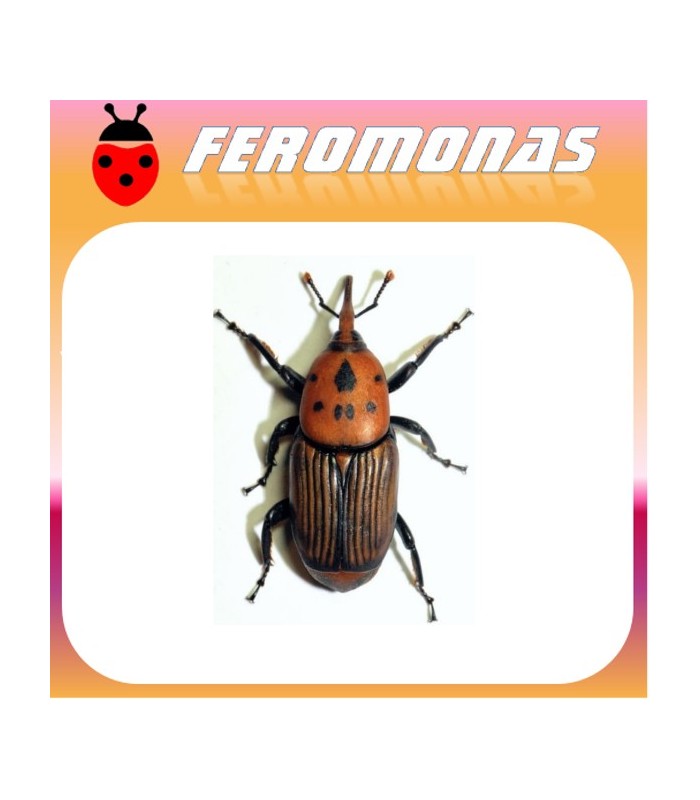 FEROMONA PICUDO ROJO 150 días