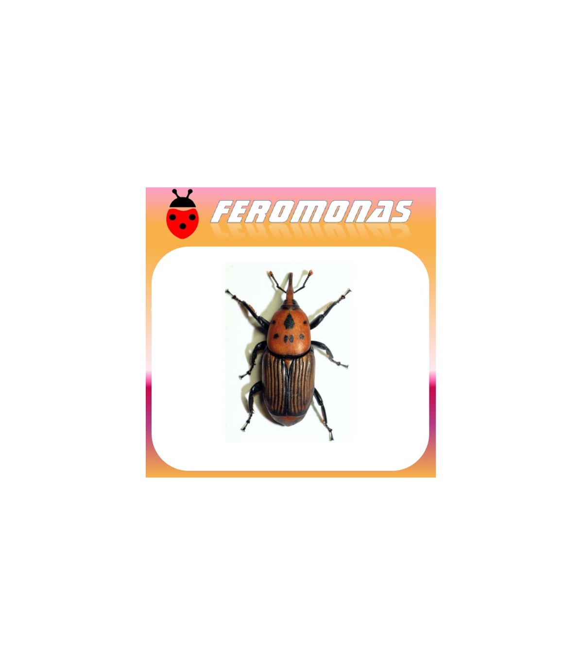 FEROMONA PICUDO ROJO 150 días