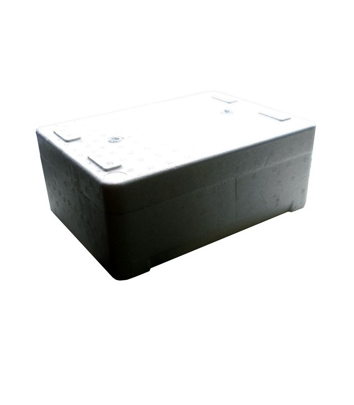 Caja isoterma EPS 5 L