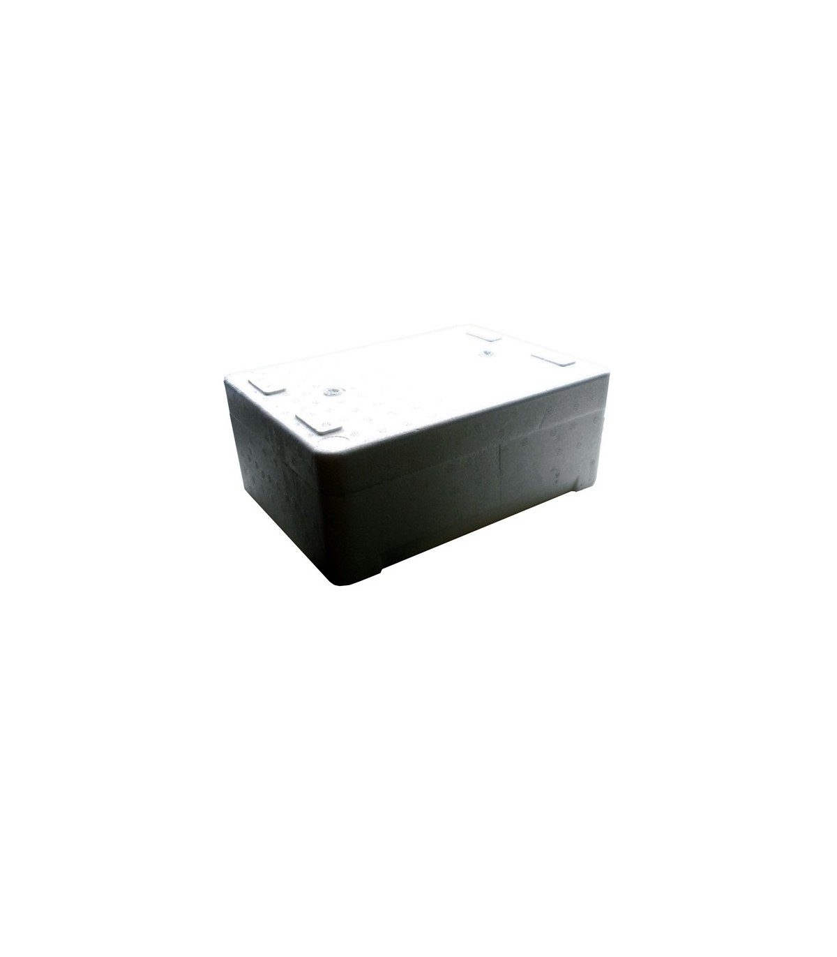 Caja isoterma EPS 5 L
