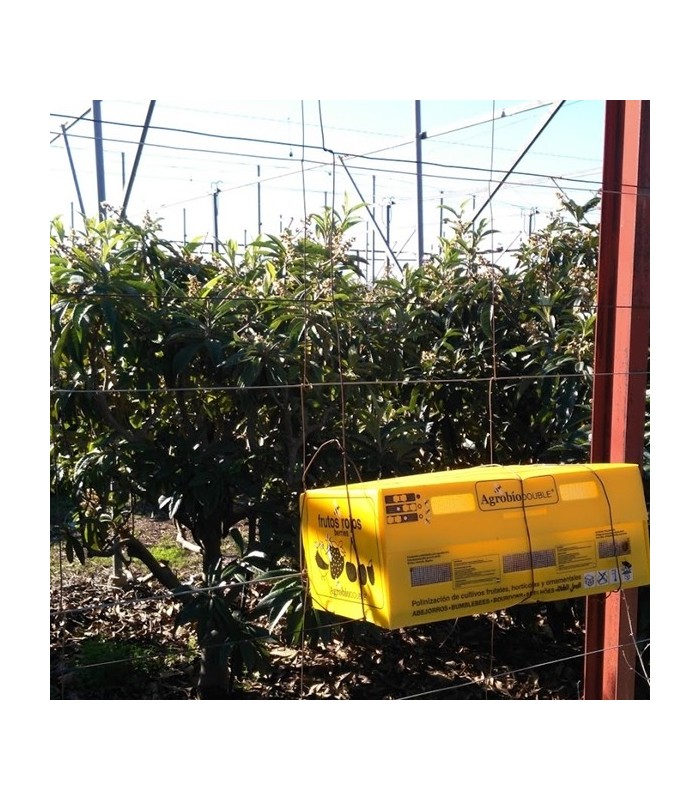 Colmena AGROBIO 2 nucleos para polinización de frutales