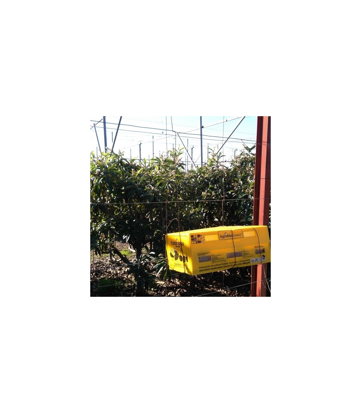 Colmena AGROBIO 2 nucleos para polinización de frutales