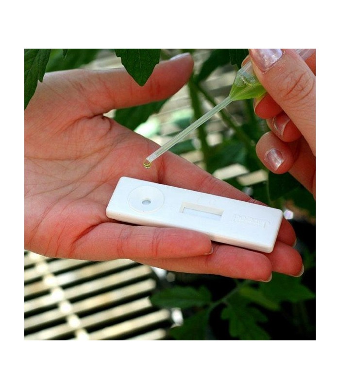 TEST Erwinia Amylovora 4 Uds Fuego bacteriano
