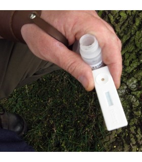 TEST Phytophthora 50 Ud