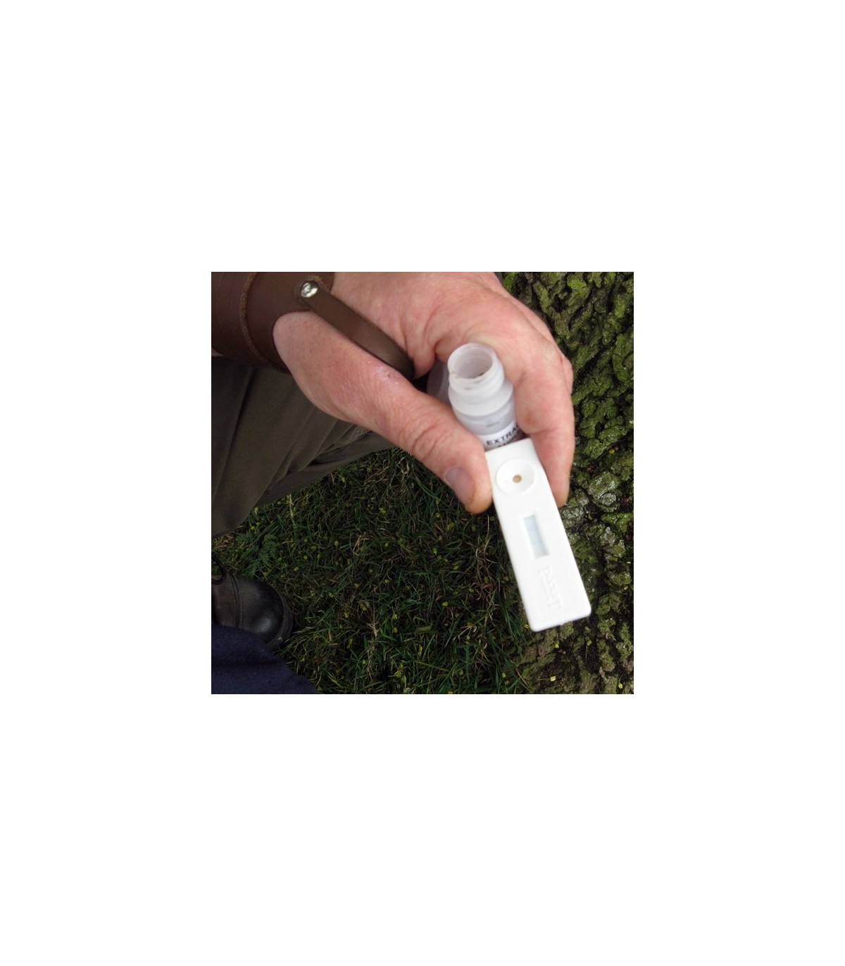 TEST Phytophthora 50 Ud