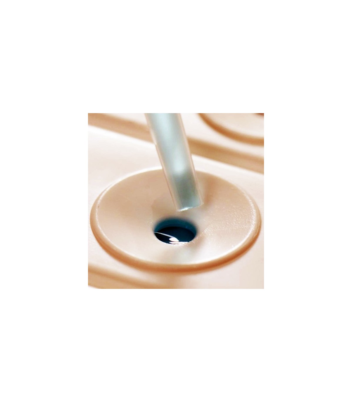 TEST Phytophthora 50 Ud