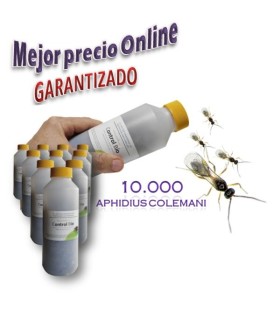Aphidius colemani 10.000 ud