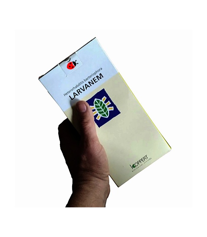LARVANEM H-C 500  Heterorhabditis bacteriophora