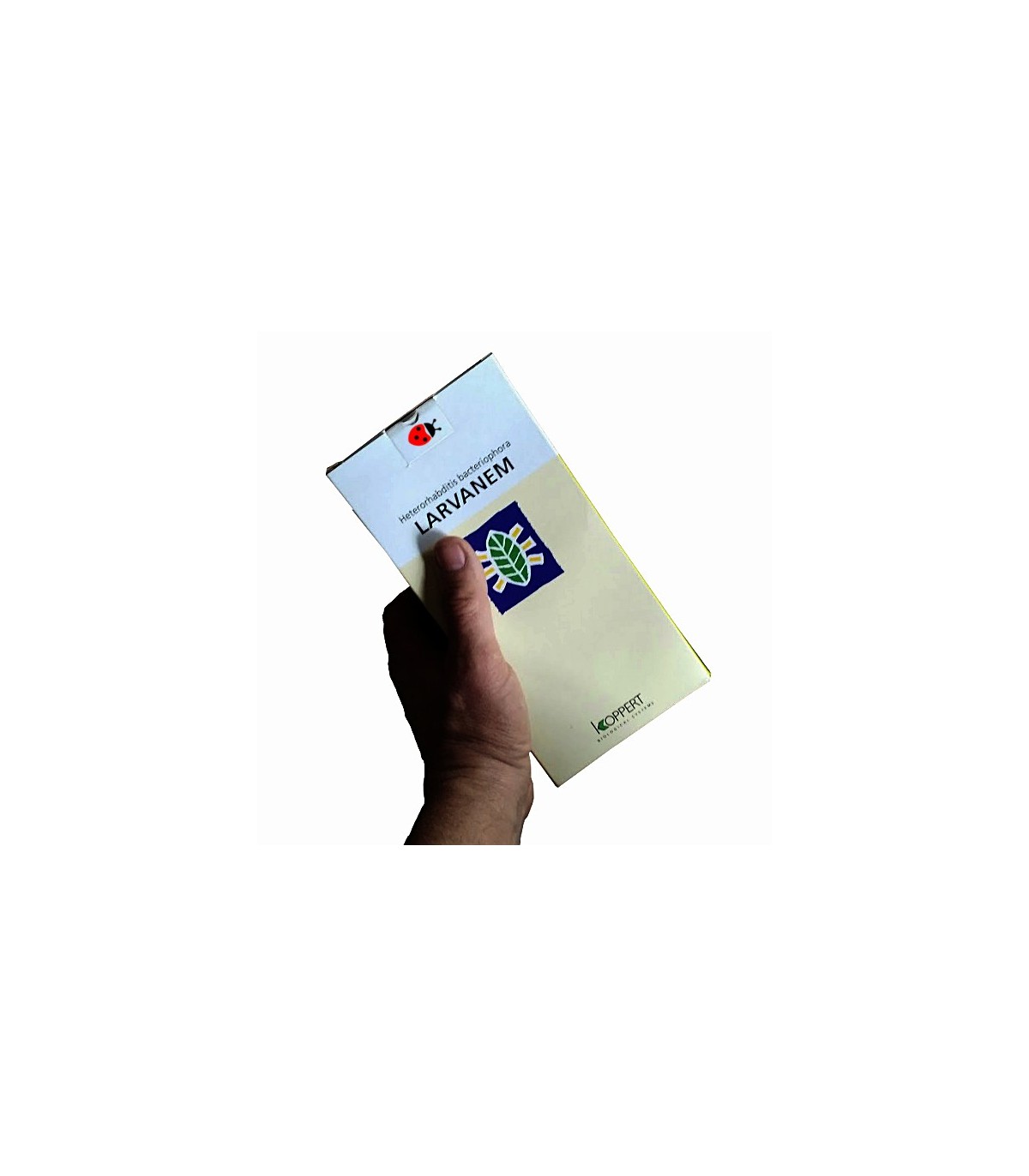 LARVANEM H-C 500  Heterorhabditis bacteriophora