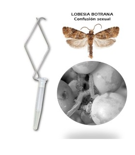 LOBETEC confusion sexual lobesia botrana