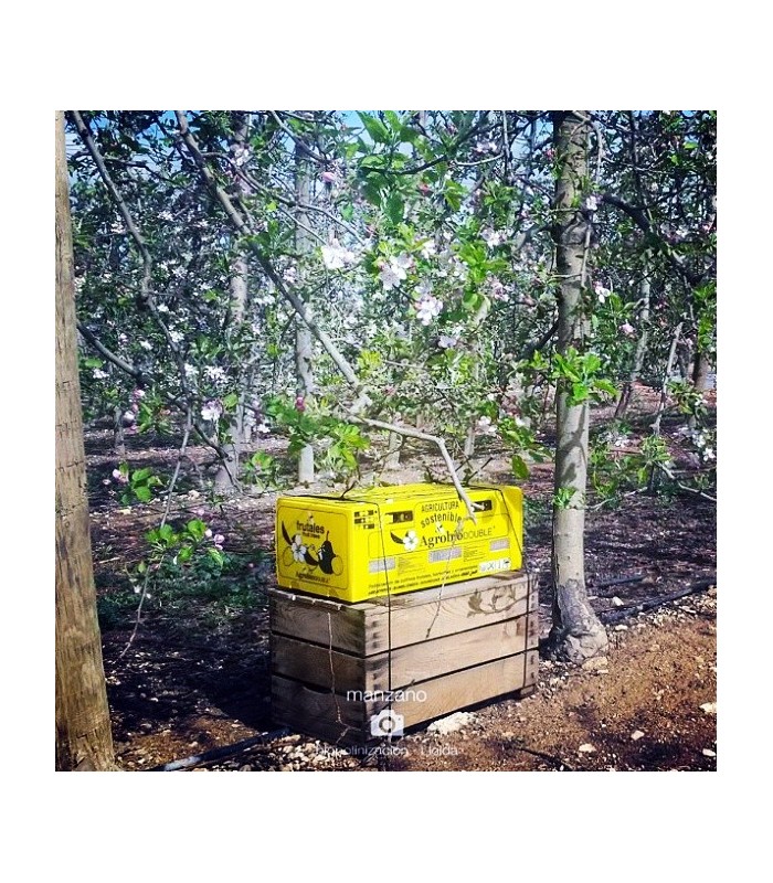 Colmena AGROBIO 3 nucleos para polinización de frutales