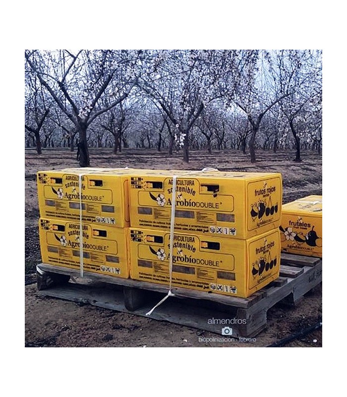 Colmena AGROBIO 2 nucleos para polinización de frutales