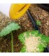 POWERMITE 5 L alimento alternativo para ácaros depredadores