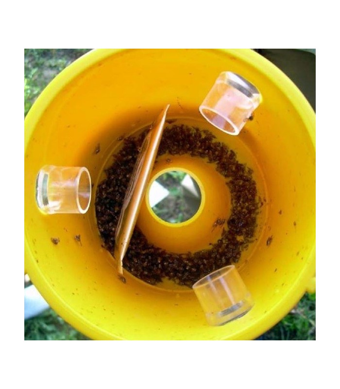 CERATIPACK Trampa + cebo + insecticida contra mosca de la fruta