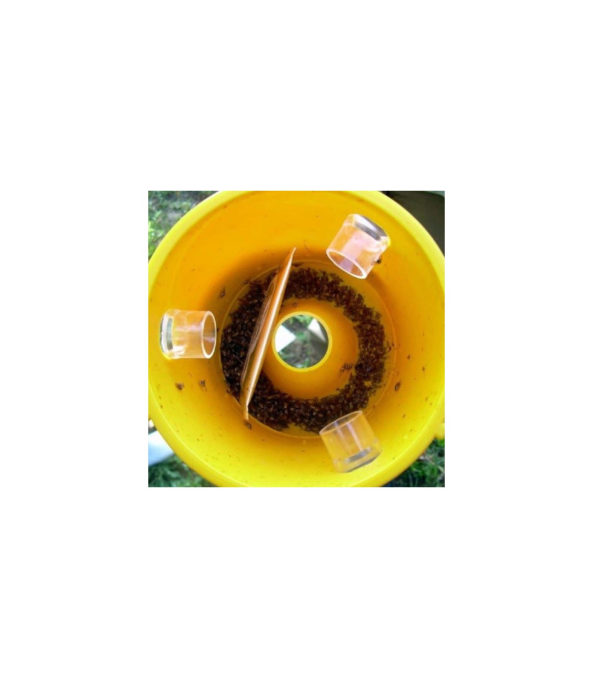 CERATIPACK Trampa + cebo + insecticida contra mosca de la fruta