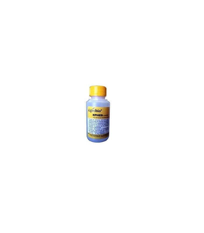 EPHEScontrol 30 gr Huevos de ephestia alimento depredadores