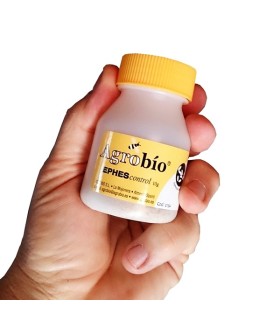 EPHEScontrol 30 gr Huevos de ephestia alimento depredadores