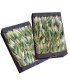 Comprar hijuelos pequeños de aloe vera