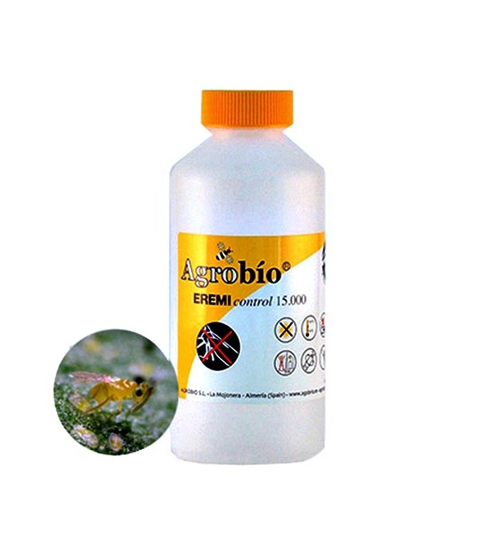 EREMIcontrol 15000 Eretmocerus eremicus parásito de mosca blanca