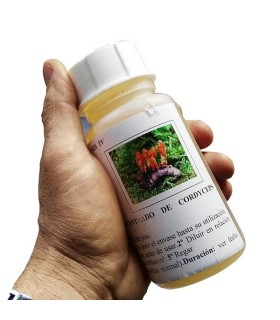 Cordyceps militaris 250 contra procesionaria