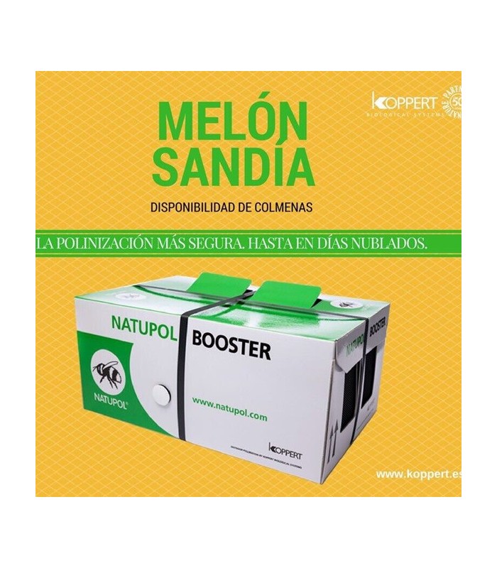 Colmena de abejorros Booster para polinización al aire libre
