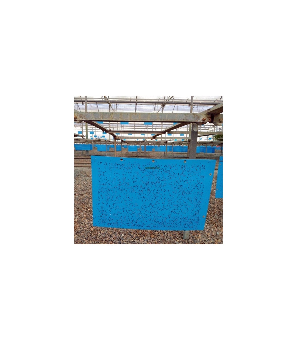 Horiver koppert 40x25 12 ud
