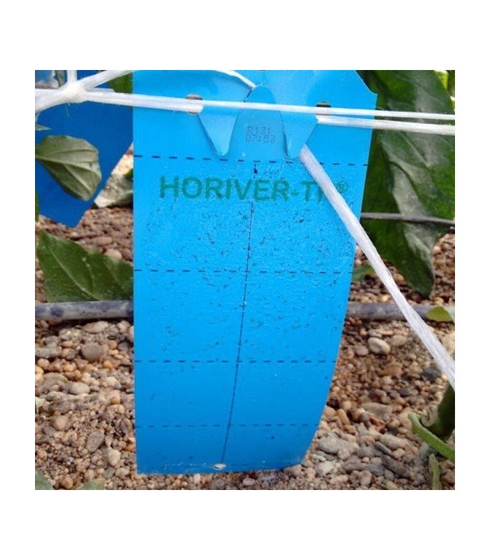 TRAMPA CROMÁTICA HORIVER-TR. 10x25 AZUL
