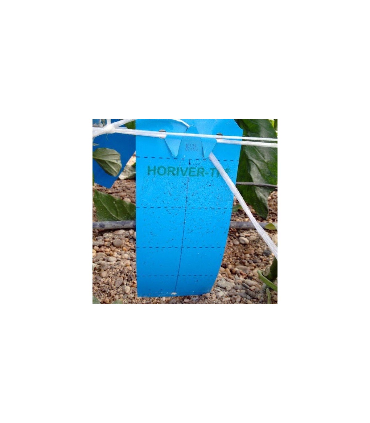 TRAMPA CROMÁTICA HORIVER-TR. 10x25 AZUL
