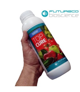 Bestcure fitofortificante ecológico