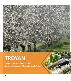 TROYAN 1.500 contra gusano cabezudo