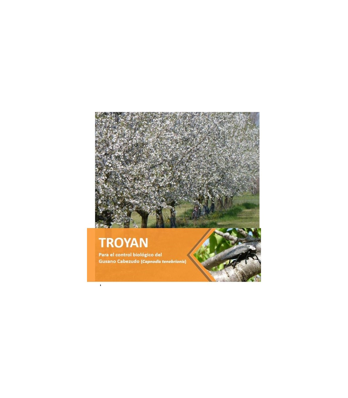 TROYAN 1500 nematodos contra gusano cabezudo