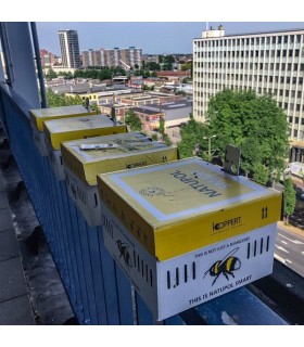 natupol smart minicolmena de koppert