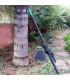 pertiga extensible para el tratamiento de palmeras