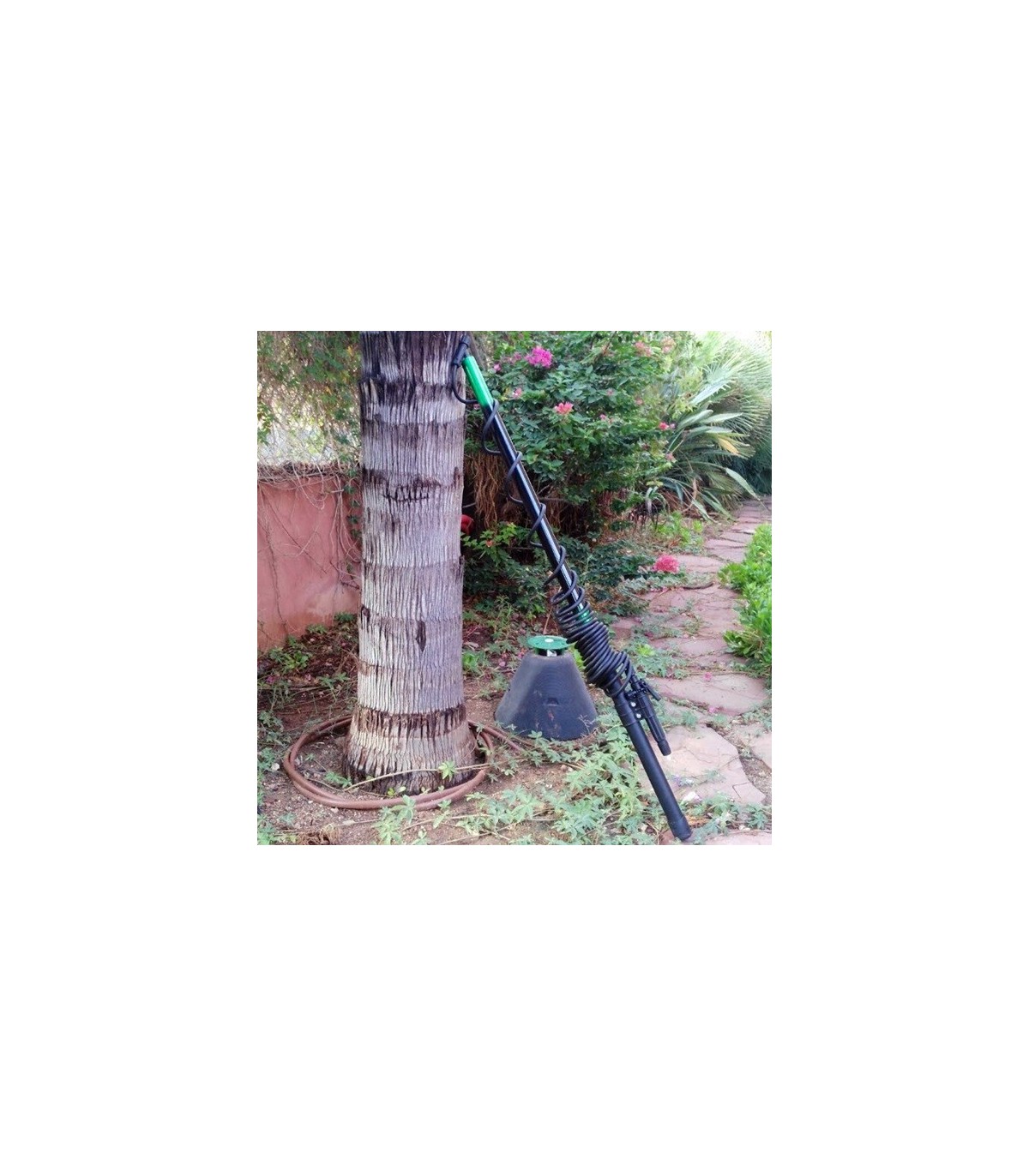 pertiga extensible para el tratamiento de palmeras