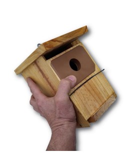 Caja nido icona