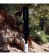 CROSSTRAP MINI con colector seco