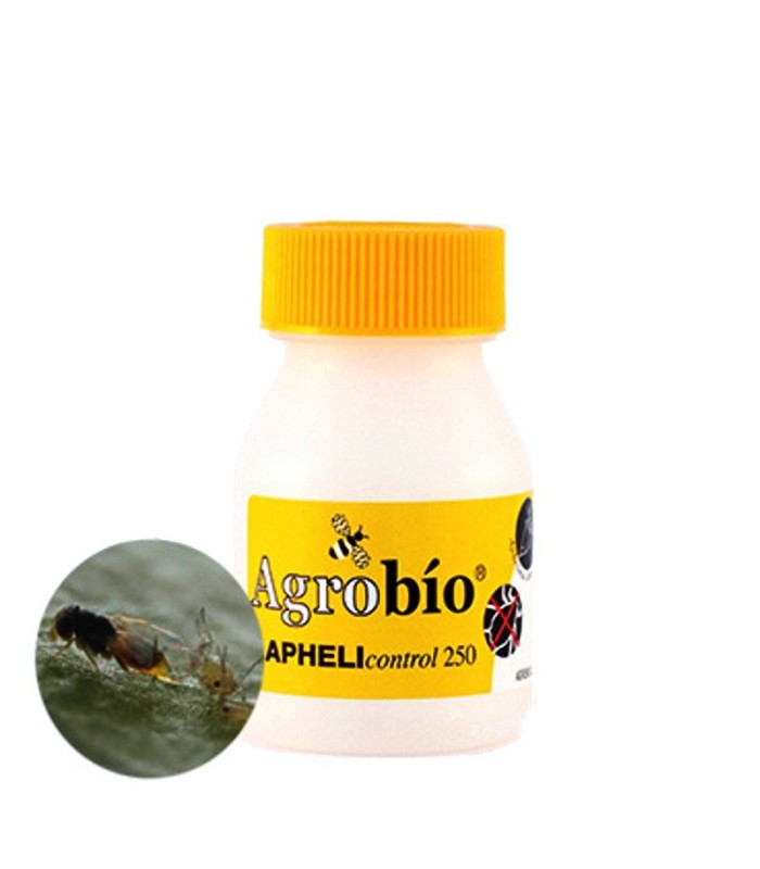 Aphelicontrol 250 aphelinus abdominalis