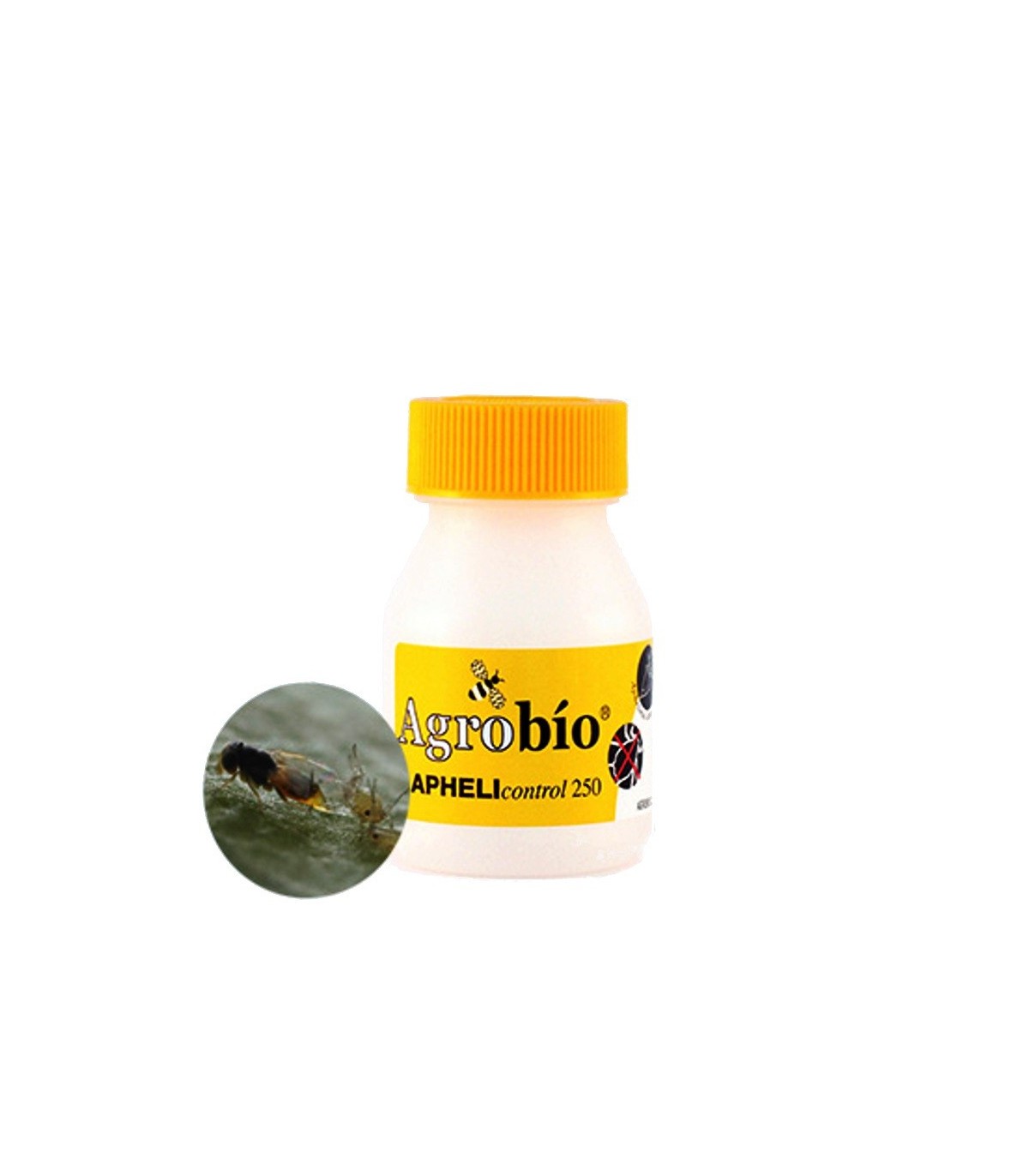 Aphelicontrol 250 aphelinus abdominalis
