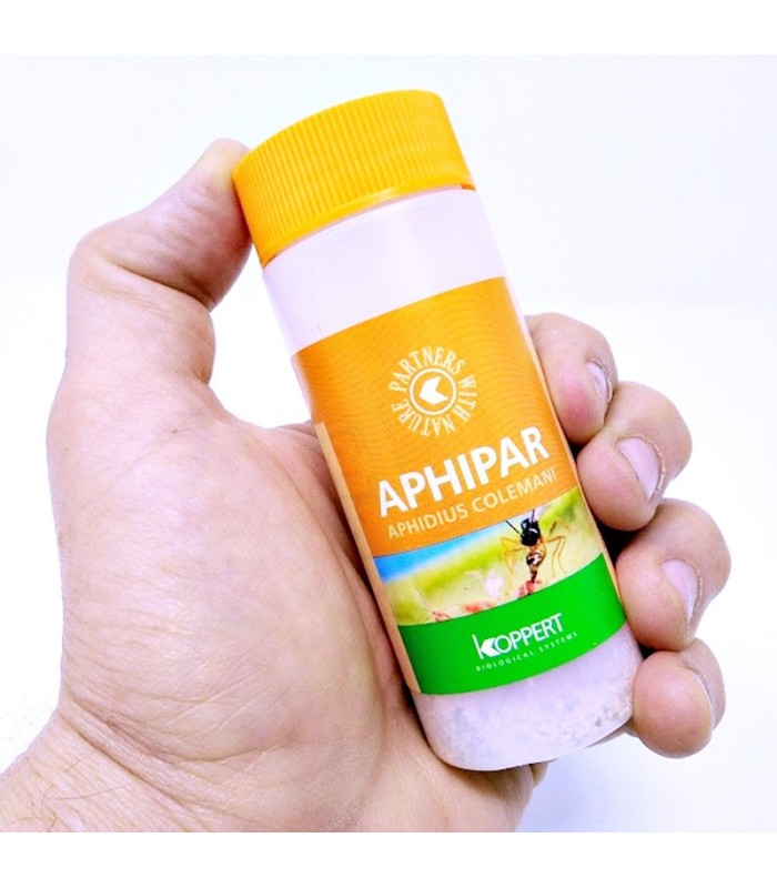 aphipar 500 koppert