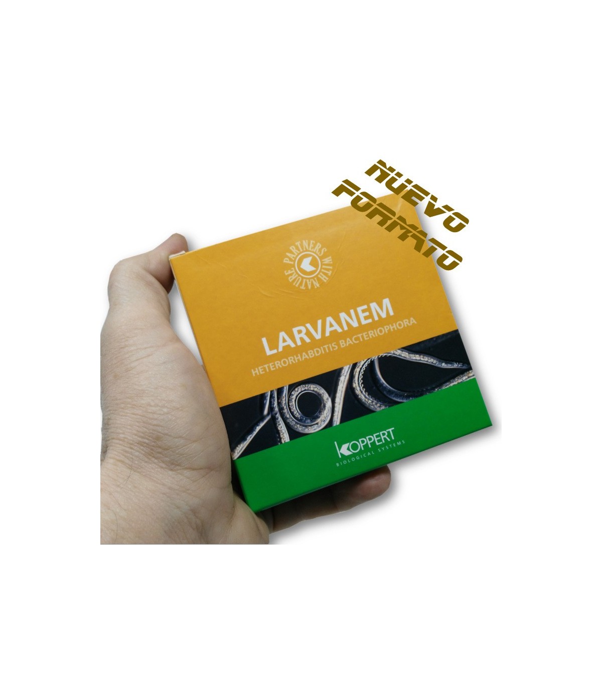 Larvanem koppert heterorhabditis