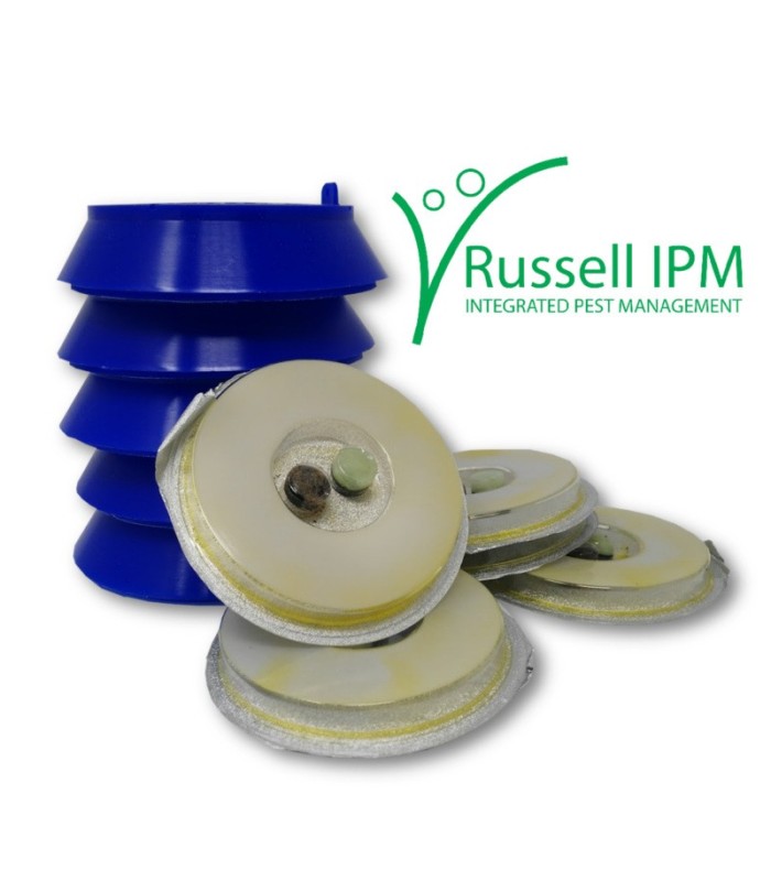 Trampa X-lure rusell IPM