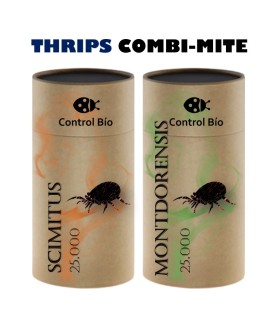 THRIPS COMBI-MITE 50000