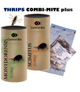 THRIPS COMBI-MITE plus Montdorensis + Scymitus + atrayente kit