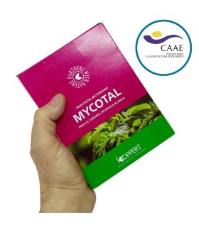 mycotal koppert insecticida microbiano